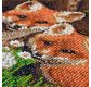 Crystal Art Kit 30x30cm Fox Cubs 30x30cm