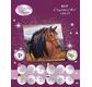 CRYSTAL ART Kit carte broderie diamant 18x18cm Cheval