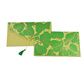 PAPERTREE NATURE Enveloppe kdo 19x10cm - Vert/Or