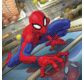 MARVEL Spiderman carte à diamanter 18x18cm Crystal Art