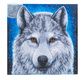 CRYSTAL ART Kit tableau broderie diamant 30x30cm Loup clair de lune