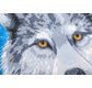 CRYSTAL ART Kit tableau broderie diamant 30x30cm Loup clair de lune