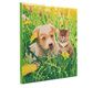 CRYSTAL ART Kit tableau broderie diamant 30x30cm Chat & chien pré