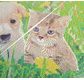 CRYSTAL ART Kit tableau broderie diamant 30x30cm Chat & chien pré