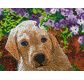 CRYSTAL ART Kit tableau broderie diamant 30x30cm Chien & fleurs