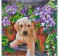 CRYSTAL ART Kit tableau broderie diamant 30x30cm Chien & fleurs