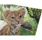 CRYSTAL ART Kit carte broderie diamant 18x18cm Bébé tigre