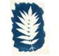 Kit Cyanotype Enjoy Art