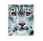 CRYSTAL ART Kit broderie diamant avec cadre blanc 21x25cm - Leopard