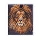 CRYSTAL ART Kit broderie diamant avec cadre blanc 21x25cm - Lion