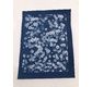 Enjoy Art Kit 10 Feuilles Cyanotype A4 + 1 plaque A4