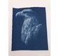 Enjoy Art Kit 10 Feuilles Cyanotype A4 + 1 plaque A4