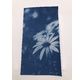 Enjoy Art Kit 10 Feuilles Cyanotype A4 + 1 plaque A4