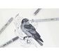 COPIC Ciao Set de 4 SHADE Dark Cool Grey