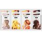 COPIC Ciao Set de 6 Portrait GOLDEN GRACE
