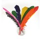 12 Plumes d'Indien 20 cm - 25 gr - assorties